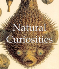 (English) Natural Curiosities