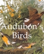 Audubon’s Birds