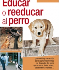(English) Educar o reeducar al perro