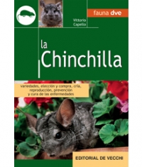 La Chinchilla (no hay compaginadas italianas)