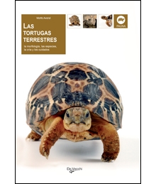 Las tortugas terrestres