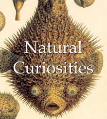 Natural Curiosities