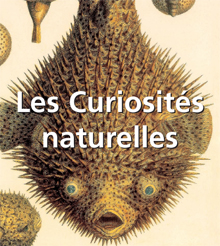 Les Curiosités naturelles