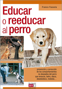 Educar o reeducar al perro