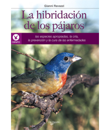 La hibridación de los pájaros