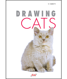 DRAWING CATS