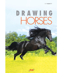 Drawing Horses