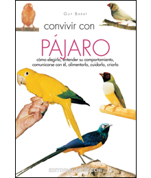 Convivir con su pájaro