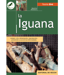 Iguanas