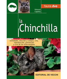 La Chinchilla (no hay compaginadas italianas)