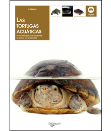 Las tortugas acuáticas