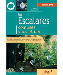 Los Escalares